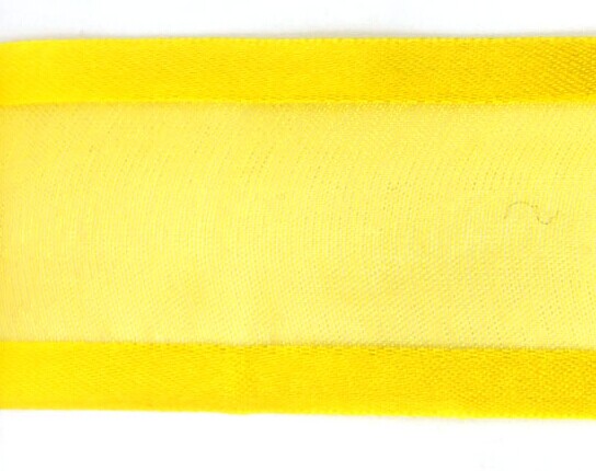 Sheer with Satin Edges - 586