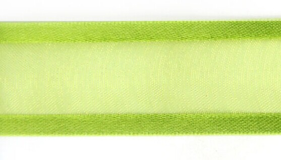 Sheer with Satin Edges - 584