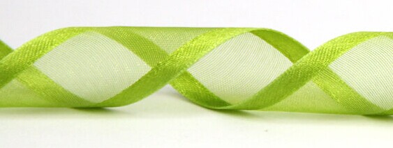 Sheer with Satin Edges - 585